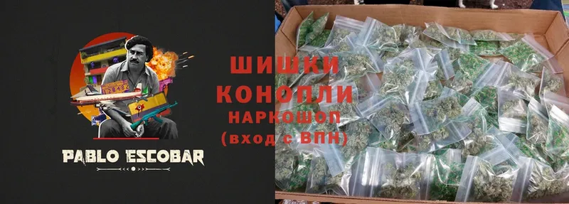 Канабис OG Kush  Мыски 